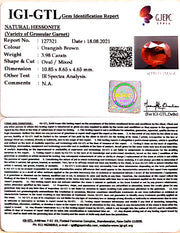 3.98/CT Natural Govt. Lab Certified Ceylonese Gomed-(1221)